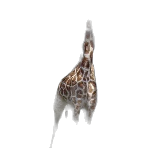 animal, staff, creature, umbrella transparent PNG cut-out