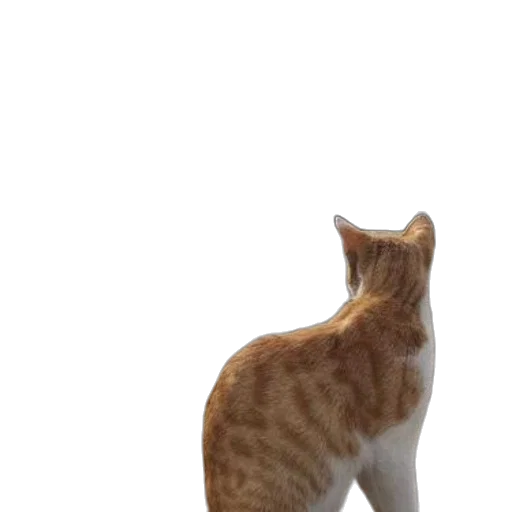 animal, creature, staff, robot transparent PNG cut-out
