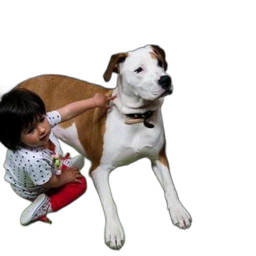animal, staff, creature, weapon transparent PNG cut-out