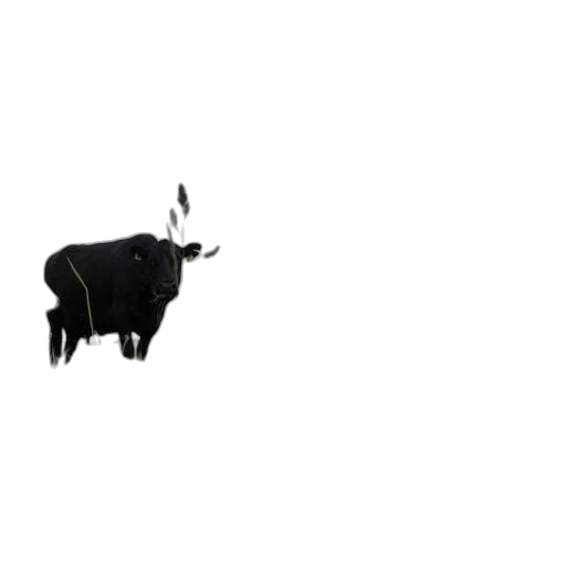 animal, staff, jewelry, creature transparent PNG cut-out