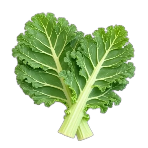 food, weapon, crown, animal transparent PNG cut-out
