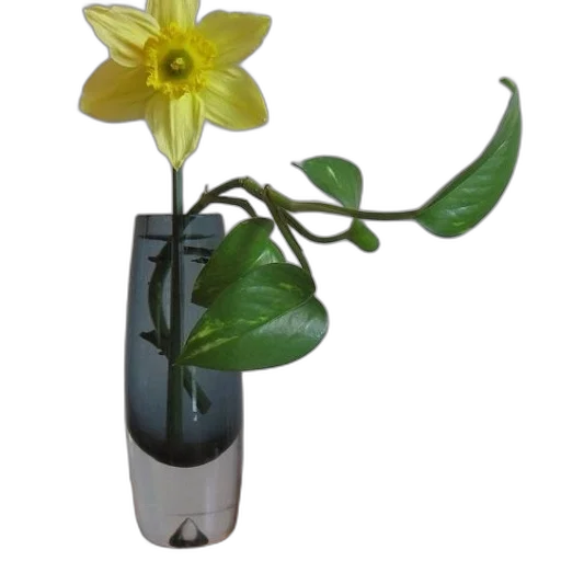 flower, staff, bottle, crown transparent PNG cut-out