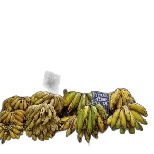 food, crown, photorealistic, 3d render transparent PNG cut-out