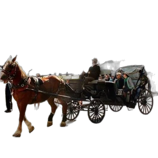 car, staff, animal, furniture transparent PNG cut-out