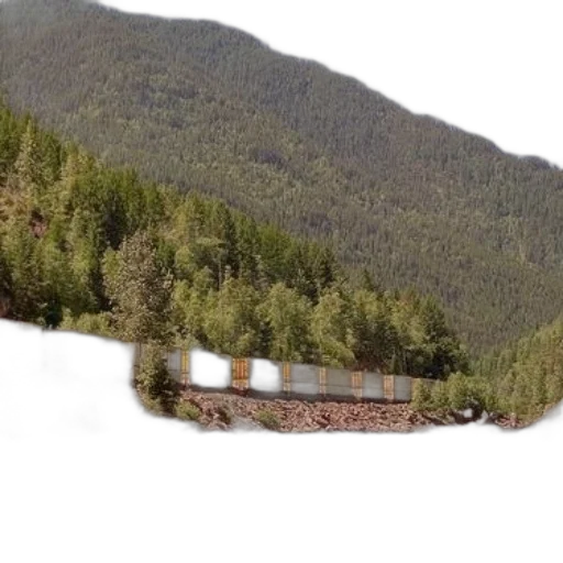building, car, tree, face transparent PNG cut-out