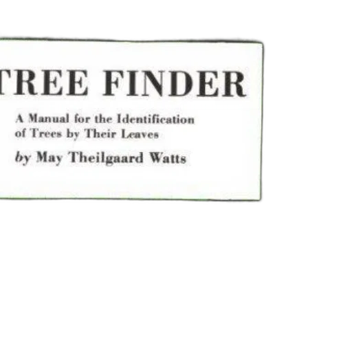 tree, forest, book, cover transparent PNG cut-out