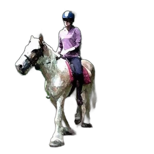 staff, animal, hat, jewelry transparent PNG cut-out