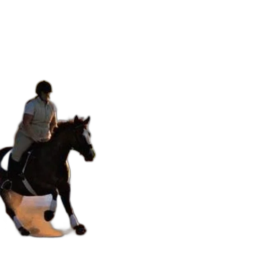 animal, creature, shoes, robot transparent PNG cut-out