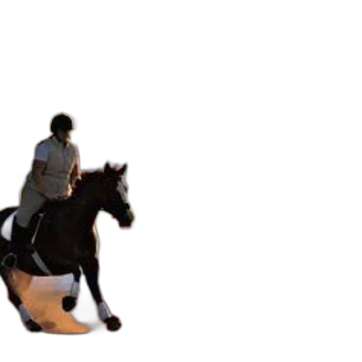 animal, creature, shoes, robot transparent PNG cut-out