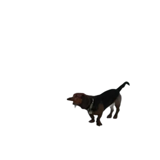 animal, creature, staff, weapon transparent PNG cut-out