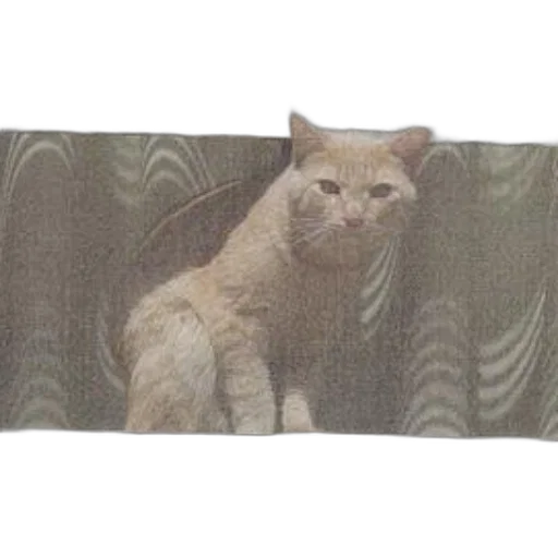 staff, animal, furniture, creature transparent PNG cut-out