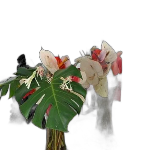 flower, crown, mask, jacket transparent PNG cut-out
