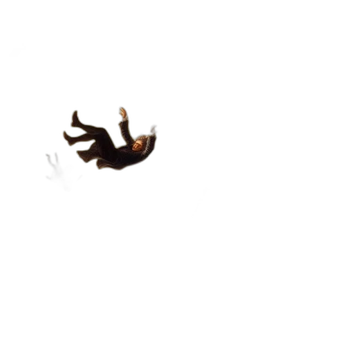 dragon, creature, animal, shoes transparent PNG cut-out