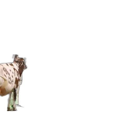 animal, creature, food, robot transparent PNG cut-out