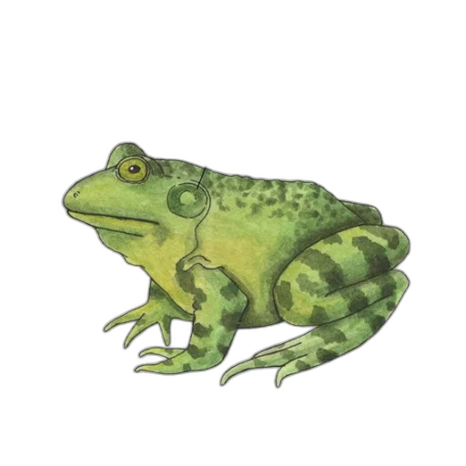 animal, creature, dragon, face transparent PNG cut-out