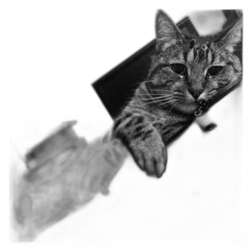 animal, staff, creature, weapon transparent PNG cut-out