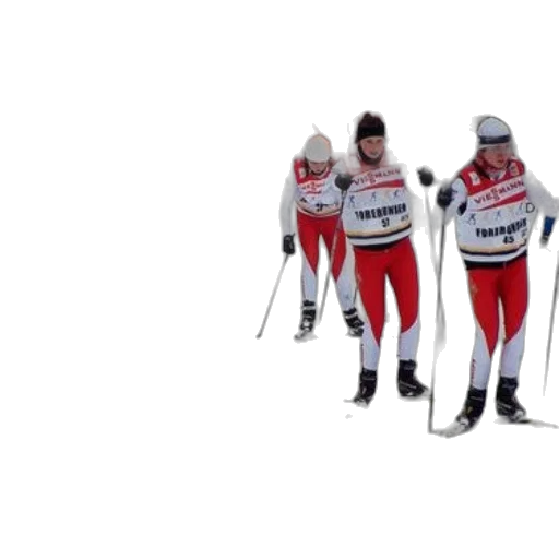 group, cross-country, skiers, red transparent PNG cut-out