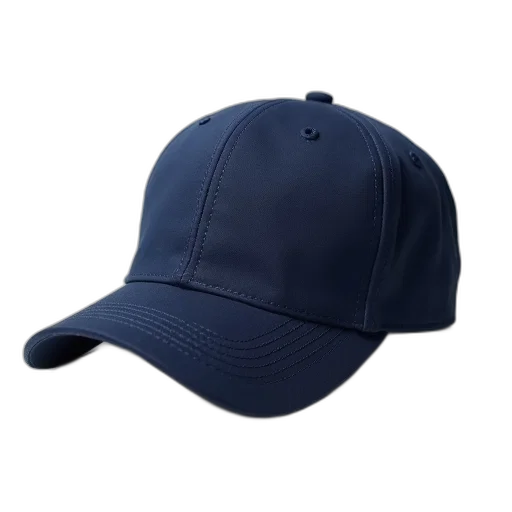 hat, crown, jacket, staff transparent PNG cut-out