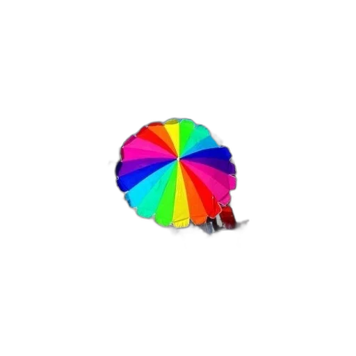umbrella, hat, flower, weapon transparent PNG cut-out