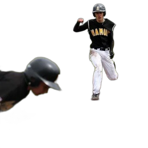 animal, baseball, player, black transparent PNG cut-out