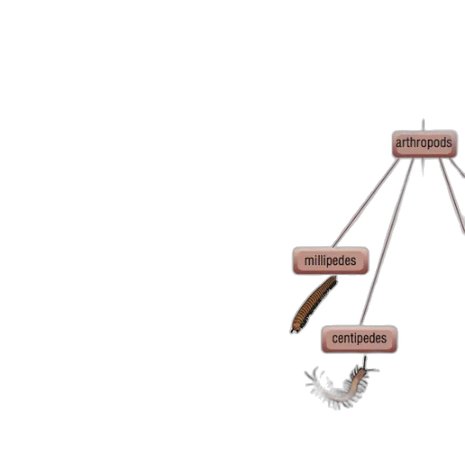 weapon, staff, jewelry, tree transparent PNG cut-out
