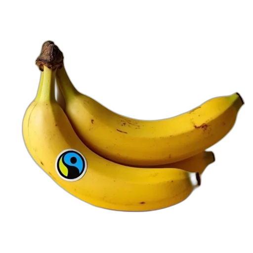 food, animal, weapon, crown transparent PNG cut-out