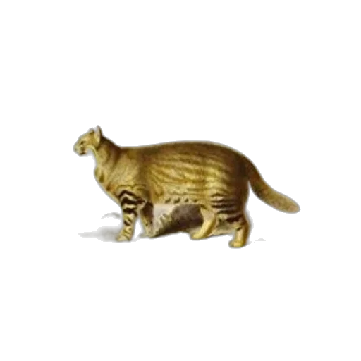 animal, creature, staff, food transparent PNG cut-out