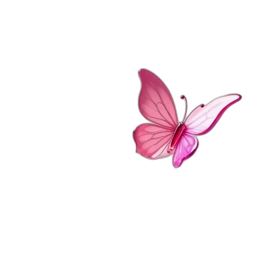 flower, animal, jewelry, umbrella transparent PNG cut-out
