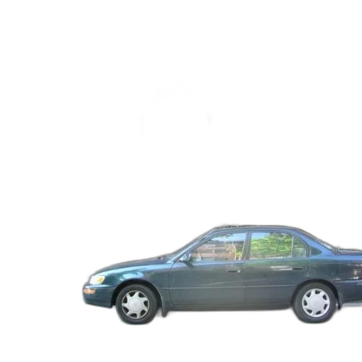 car, weapon, tree, staff transparent PNG cut-out