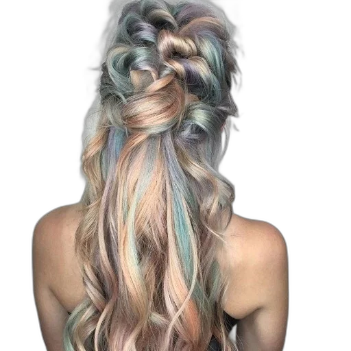 hair, dragon, dress, jewelry transparent PNG cut-out