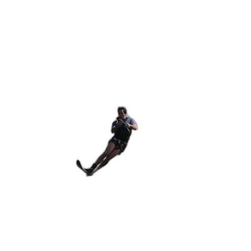 staff, shoes, dragon, creature transparent PNG cut-out