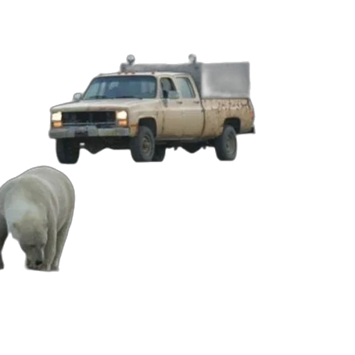 animal, car, creature, weapon transparent PNG cut-out