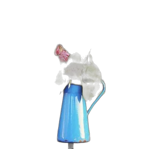 bottle, umbrella, staff, flower transparent PNG cut-out