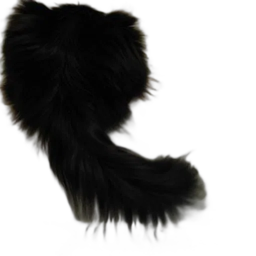 hair, hat, animal, crown transparent PNG cut-out