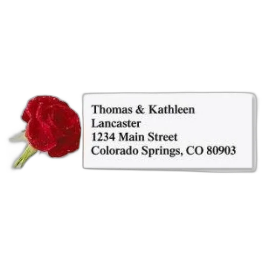 rectangular, address, label, red transparent PNG cut-out
