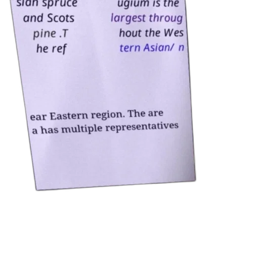 weapon, image, features, text transparent PNG cut-out