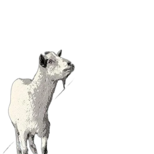 animal, staff, creature, face transparent PNG cut-out
