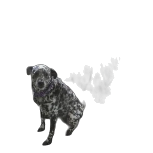 animal, creature, staff, weapon transparent PNG cut-out