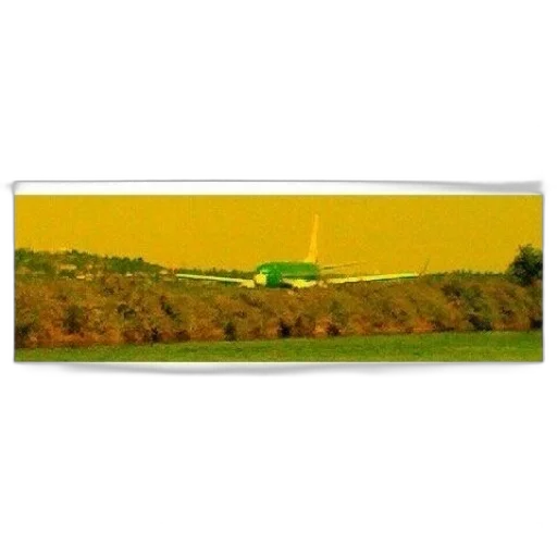 building, tree, bottle, car transparent PNG cut-out