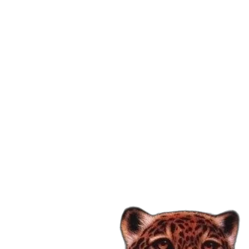 animal, mask, face, creature transparent PNG cut-out
