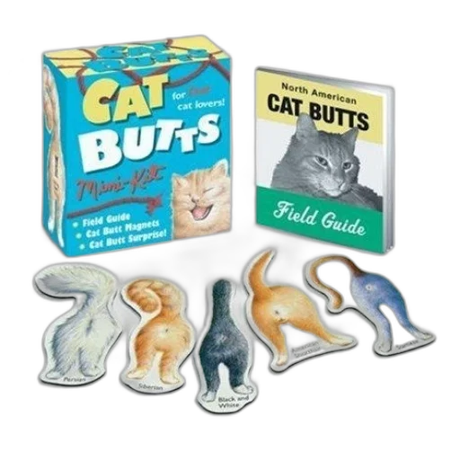 colorful, box, labeled, cat transparent PNG cut-out