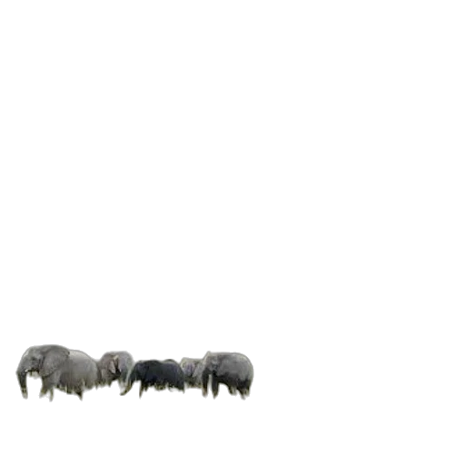 animal, furniture, creature, hair transparent PNG cut-out