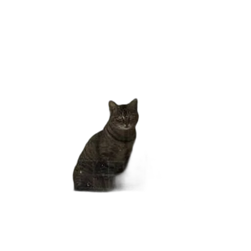 animal, staff, creature, robot transparent PNG cut-out
