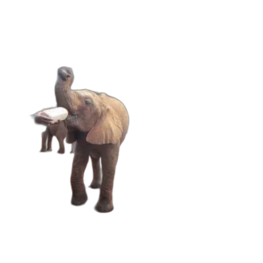 animal, creature, staff, weapon transparent PNG cut-out