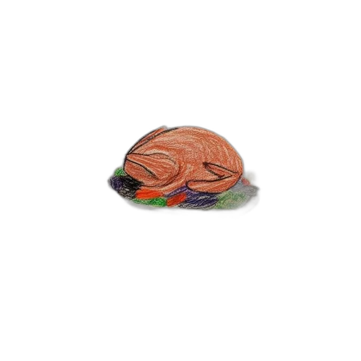 hat, food, jewelry, jacket transparent PNG cut-out