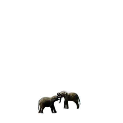 animal, creature, furniture, hair transparent PNG cut-out