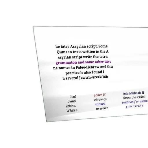 3d render, text, discussing, evolution transparent PNG cut-out
