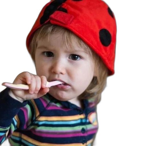 hat, food, photorealistic, young transparent PNG cut-out