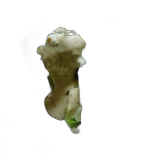 food, crown, staff, creature transparent PNG cut-out