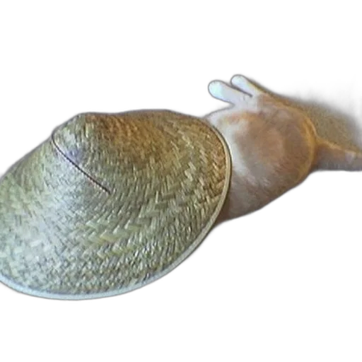 hat, staff, weapon, hair transparent PNG cut-out